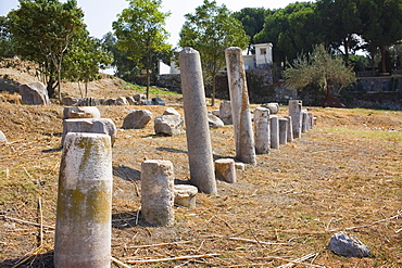 Old ruins of columns in a row, Ephesus, Turkey