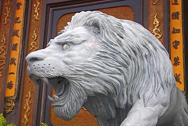 Close-up of a statue of lion outside a temple, Ta Prohm Temple, Angkor Wat, Siem Reap, Cambodia