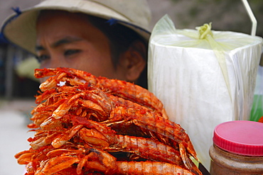 Close-up of prawns at a market stall, Siem Reap, Cambodia