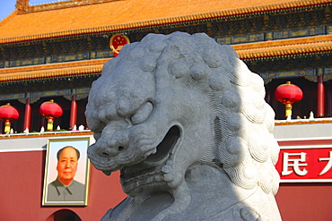 Close-up of a lion statue in front of a museum, Tiananmen Gate Of Heavenly Peace, Tiananmen Square, Beijing, China