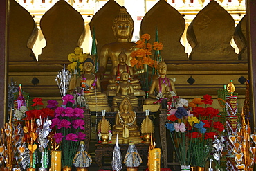 Statues of Buddha in a temple, Buddhist temple, That Luang, Vientiane, Laos