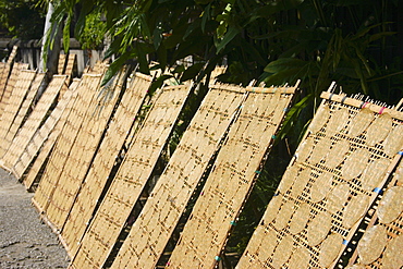 Close-up of traditional food drying, Luang Prabang, Laos