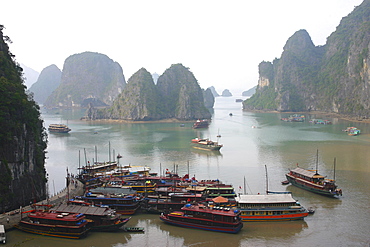 High angle view of tourboats docked at a harbor, Halong Bay, Vietnam