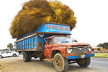 Hay loaded in a truck, Ica, Ica Region, Peru