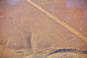 Aerial view of Nazca lines, Nazca, Peru