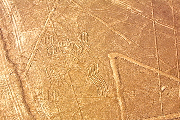 Aerial view of Nazca lines representing a spider, Nazca, Peru