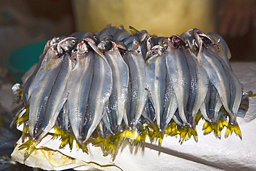 Close-up of dead fish at a market stall, Ica, Ica Region, Peru