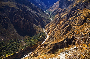 High angle view of a canyon, Colca Canyon, Peru