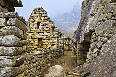 Street passing through the old ruins, Machu Picchu, Cusco Region, Peru