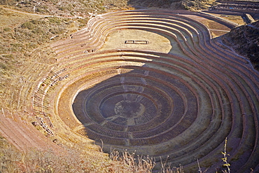 High angle view of a circular terraced field, Moray, Cuzco, Peru