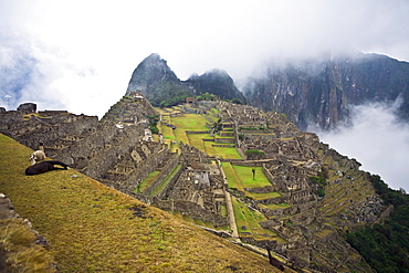 High angle view of ruins on mountains, Machu Picchu, Cusco Region, Peru