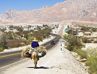 Rear view of a man riding a donkey loaded with hay