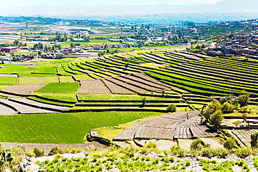 High angle view of a terraced field, Sabandia, Arequipa, Peru