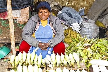 Portrait of a mature woman sitting at a market stall, Ica, Ica Region, Peru