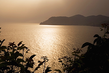 Silhouette of a mountain at the seaside, Italian Riviera, Cinque Terre National Park, Mar Ligure, Cinque Terre, La Spezia, Liguria, Italy