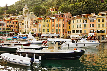 Boats moored at a harbor, Italian Riviera, Portofino, Genoa, Liguria, Italy