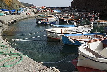 Boats moored at a harbor, Italian Riviera, Cinque Terre National Park, Mar Ligure, RioMaggiore, Cinque Terre, Vernazza, La Spezia, Liguria, Italy