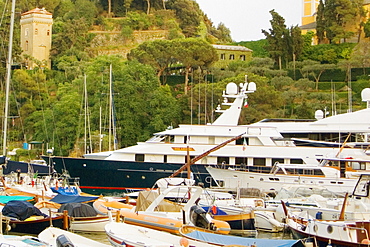 Boats moored at a harbor, Italian Riviera, Portofino, Genoa, Liguria, Italy