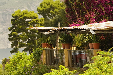 Restaurant surrounded with trees, Sorrento, Naples Province, Campania, Italy