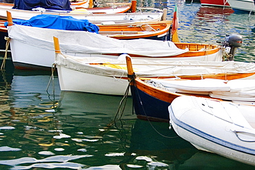 Boats moored at a harbor, Italian Riviera, Portofino, Genoa, Liguria, Italy