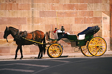 Horse pulling a carriage, Malaga, Spain