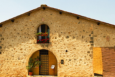 Potted plant on the window sill of a building, Piazza Roma, Monteriggioni, Siena Province, Tuscany, Italy