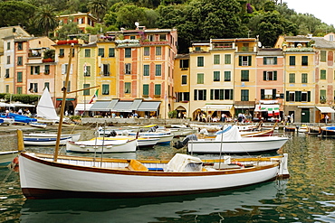 Boats moored at a harbor, Italian Riviera, Portofino, Genoa, Liguria, Italy