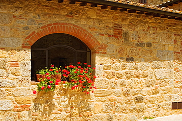 Potted plants on a window sill, Monteriggioni, Siena Province, Tuscany, Italy