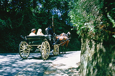 Rear view of a couple traveling in a horsedrawn carriage, Portugal