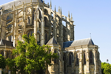 Low angle view of a cathedral, Le Mans Cathedral, Le Mans, France