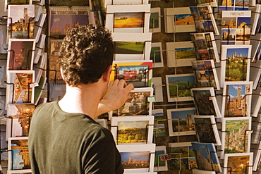 Rear view of a man choosing postcards, Piazza Della Cisterna, San Gimignano, Siena Province, Tuscany, Italy