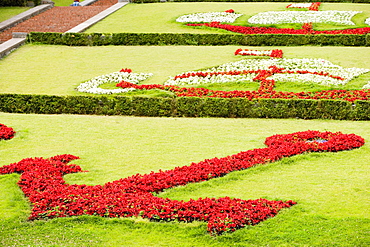 Flowers in a garden, Scalinata Delle Caravelle, Genoa, Liguria, Italy