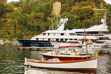 Boats at a harbor, Italian Riviera, Portofino, Genoa, Liguria, Italy