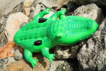 Close-up of a crocodile float, Cinque Terre National Park, RioMaggiore, Cinque Terre, La Spezia, Liguria, Italy