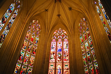 Low angle view of stained glasses in a church, Church Of St. Pierre, Bordeaux, Aquitaine, France