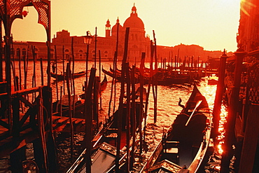 High angle view of gondolas moored in a harbor, Venice, Italy