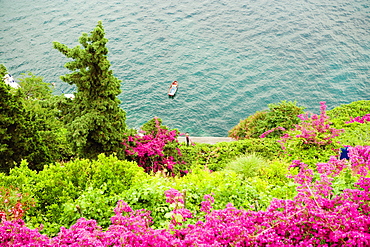 High angle view of flowers and trees at the hillside, Costiera Amalfitana, Salerno, Campania, Italy