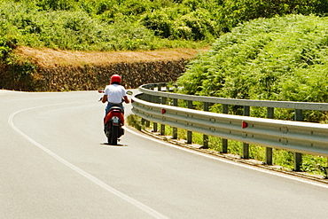 Rear view of a man riding a motor scooter, Siena Province, Tuscany, Italy