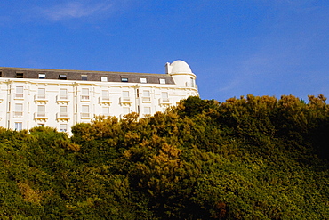 Low angle view of trees in front of a building, Biarritz, Basque Country, Pyrenees-Atlantiques, Aquitaine, France