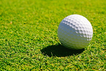 Close-up of a golf ball on a golf course