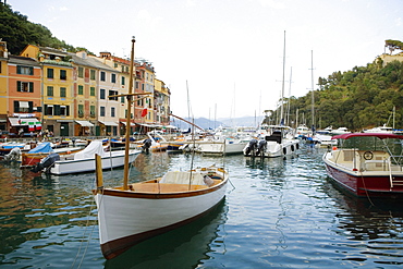 Boats moored at a harbor, Italian Riviera, Portofino, Genoa, Liguria, Italy