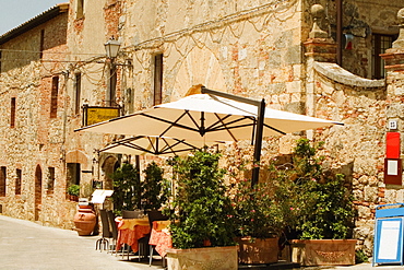 Potted plants and patio umbrellas in front of a building, Piazza Roma, Monteriggioni, Siena Province, Tuscany, Italy