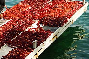 Fishing net on a pier, Marina Grande, Capri, Sorrento, Sorrentine Peninsula, Naples Province, Campania, Italy