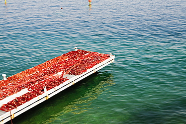 Fishing net on a pier, Bay of Naples, Capri, Sorrento, Sorrentine Peninsula, Naples Province, Campania, Italy