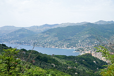 High angle view of a town, Italian Riviera, Genoa Province, Liguria, Italy