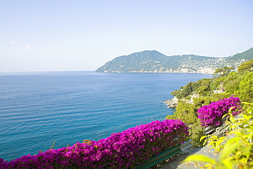 Panoramic view of the sea, Italian Riviera, Mar Ligure, Camogli, Genoa, Liguria, Italy