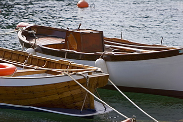 Boats moored in the sea, Italian Riviera, Santa Margherita Ligure, Genoa, Liguria, Italy