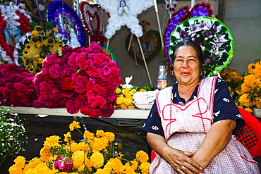 Senior woman selling flowers, San Juan Nuevo, Michoacan State, Mexico