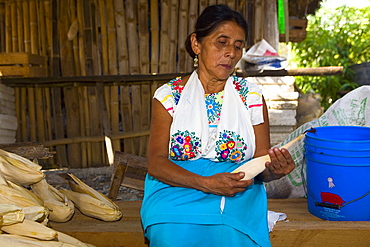 Mature woman peeling corn, Papantla, Veracruz, Mexico