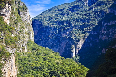 Trees on mountains, Sumidero Canyon, Chiapas, Mexico